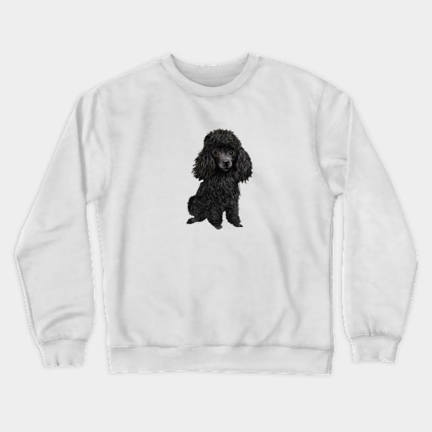 Black Ministure or Toy Poodle Crewneck Sweatshirt by Dogs Galore and More